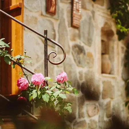 Ξενοδοχείο Doda Artisanal Cave - Adults Only - 5*
